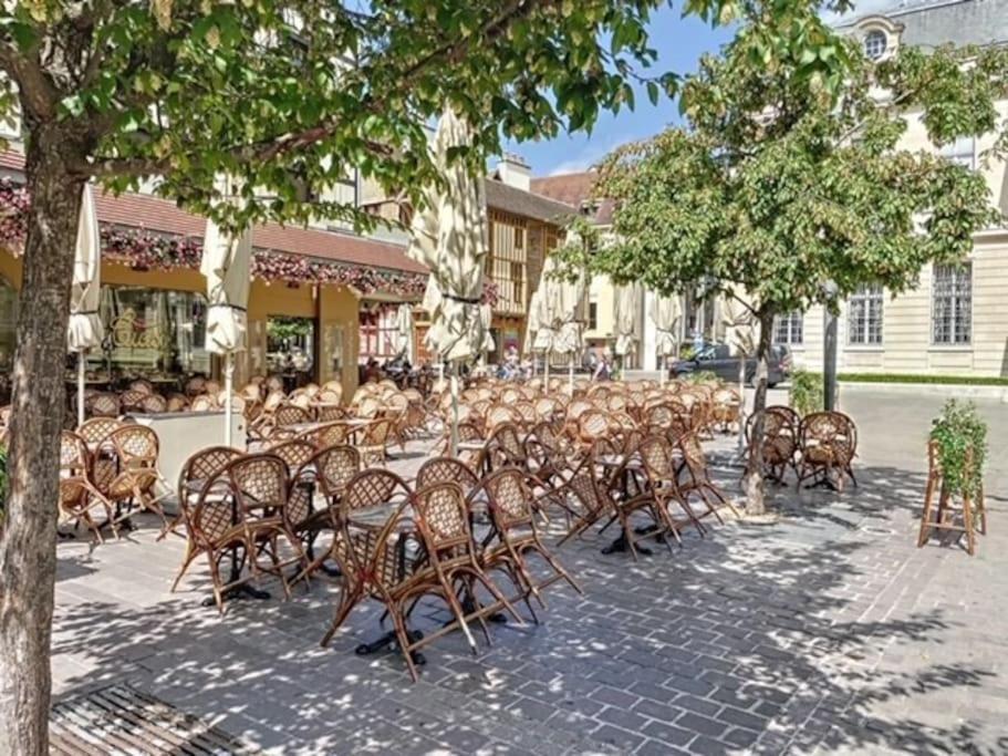Appartement Au Coeur De Troyes Exterior foto